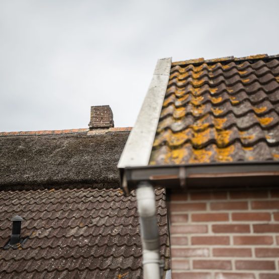 Erfontwikkelaar_-046